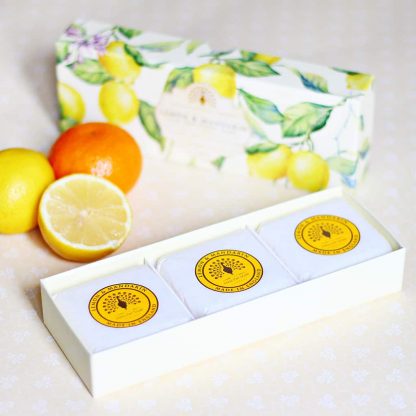 Lemon Mandarin Gift Box Soap